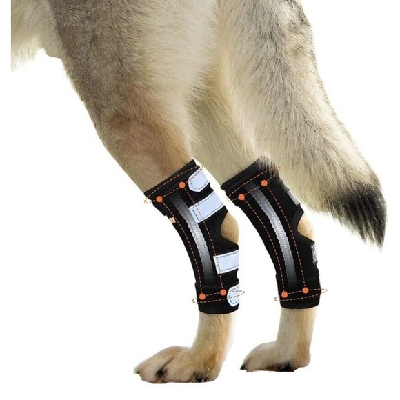 Neoally Dog/Cat Rear Leg Braces w/ Ultra Spring Support XS Long Injury Arthritis - Picture 8 of 16